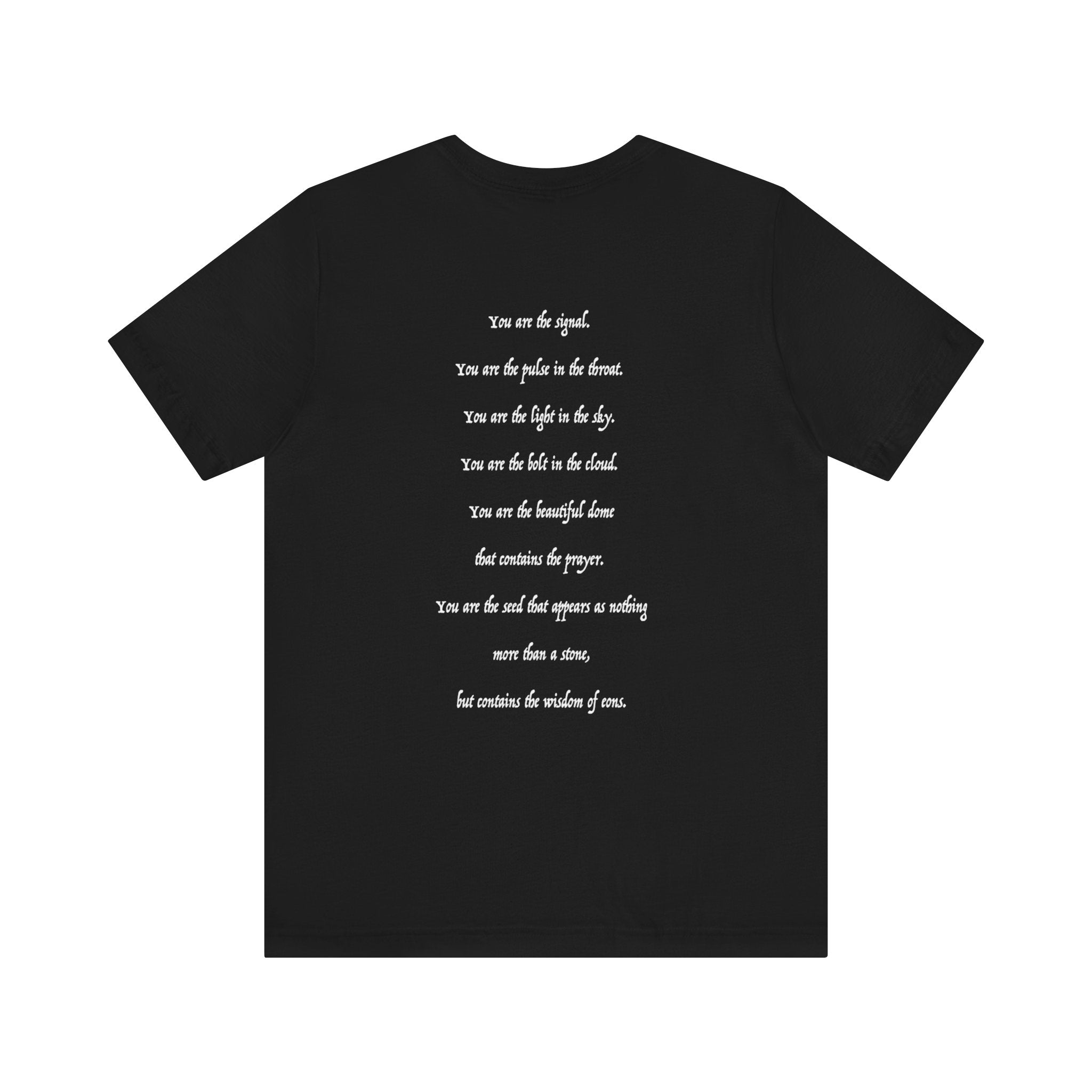 WALKING IN ALIGNMENT // UNISEX TEE