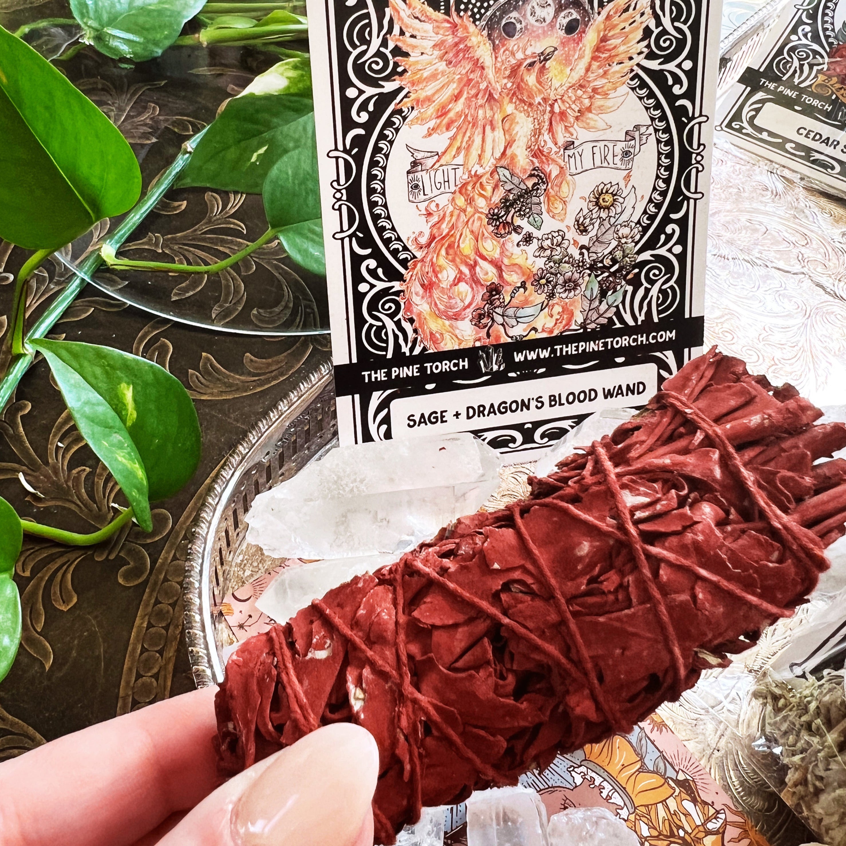 RISE, SISTER << DRAGON'S BLOOD SAGE >> SMUDGE
