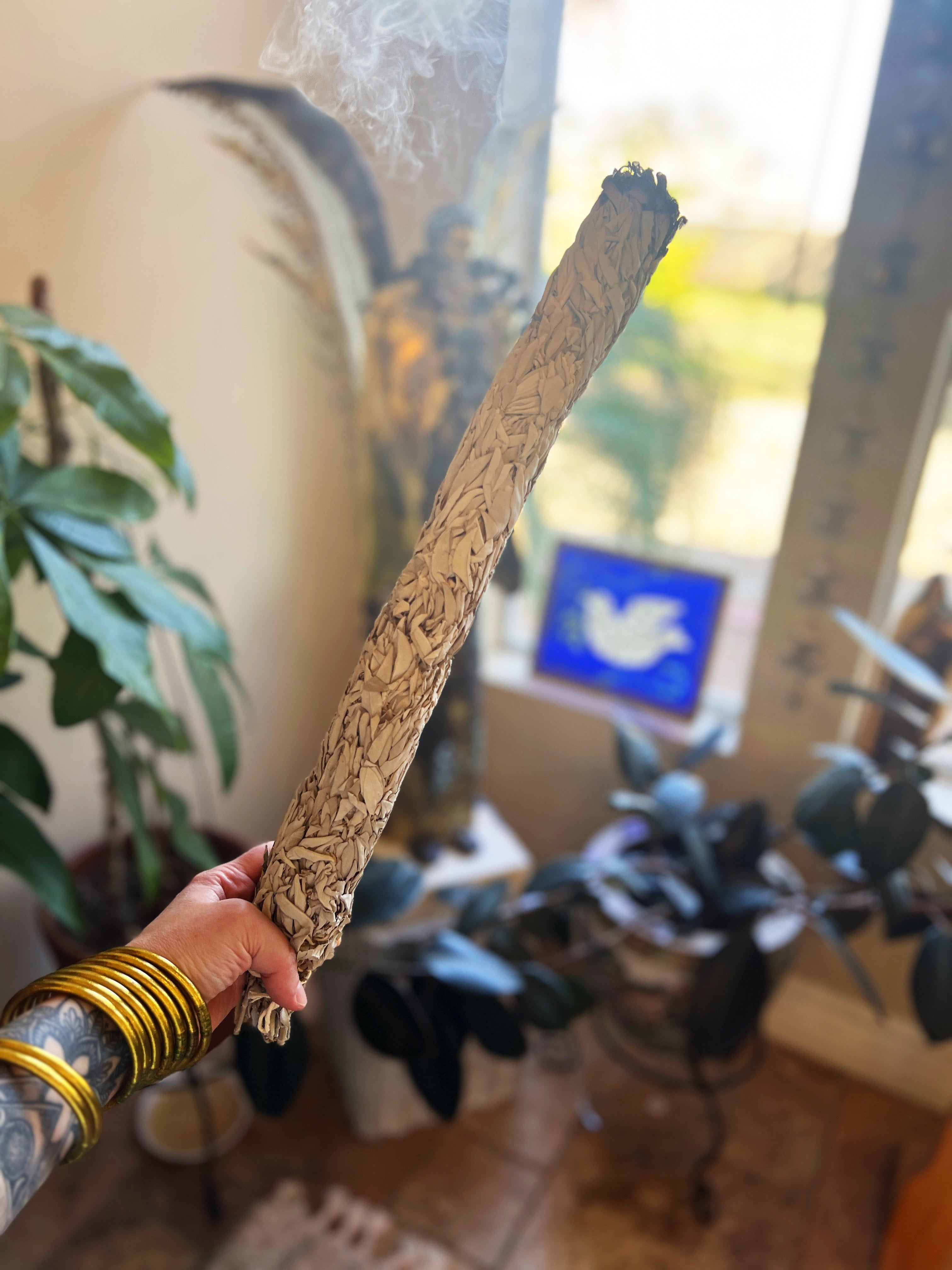 THE ZERO OF Fs << JUMBO GARGANTUAN 20 INCH SMUDGE >>
