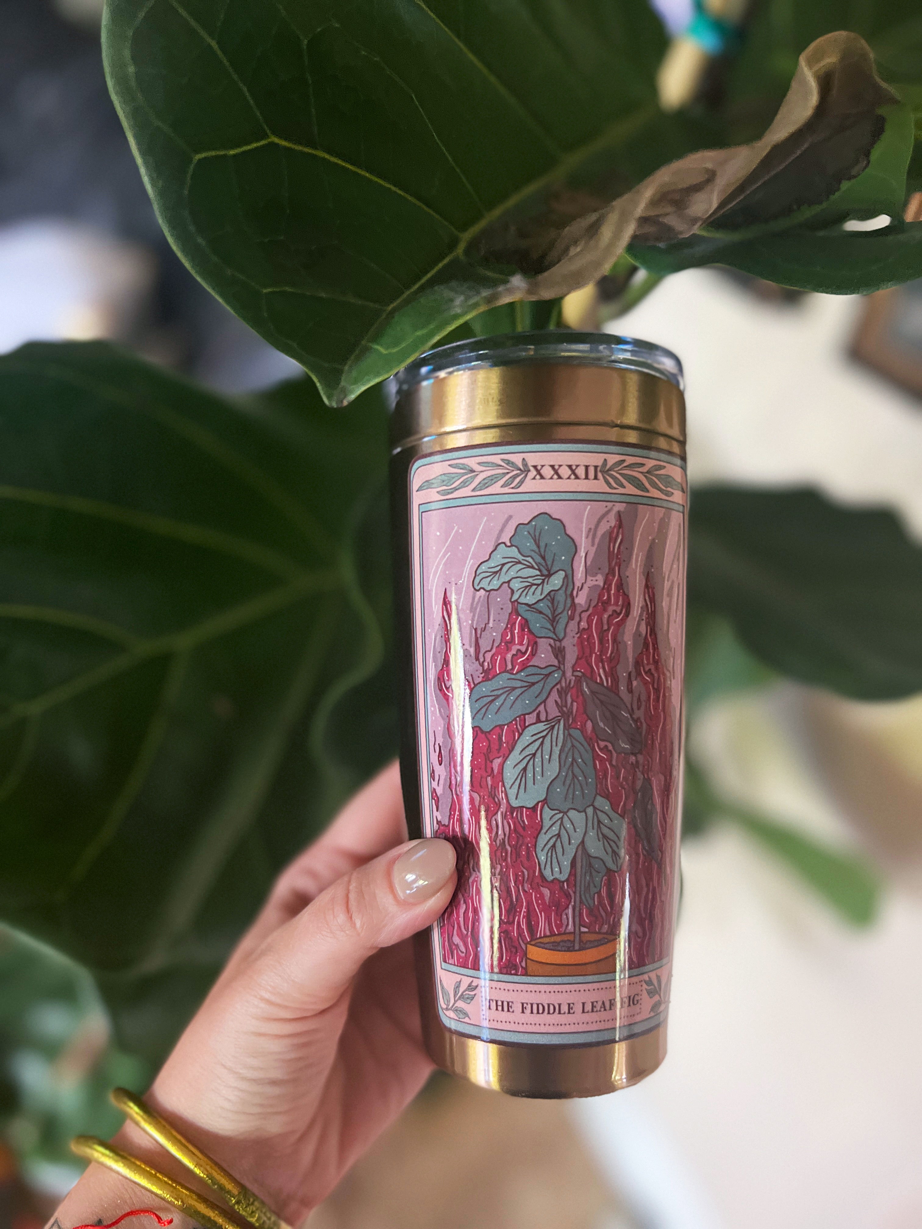 THE FIDDLE-LEAF FIG // TUMBLER