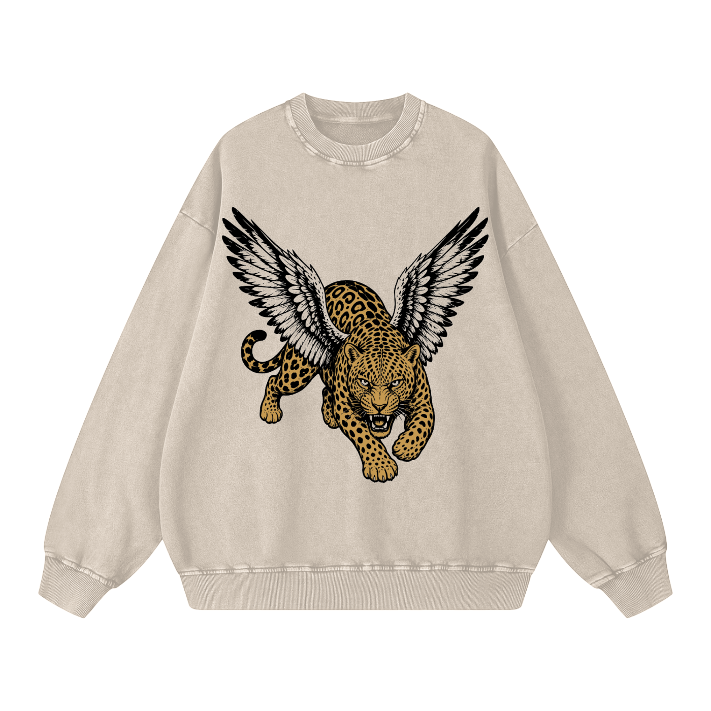 Snow Washed Oversized Sweatshirt