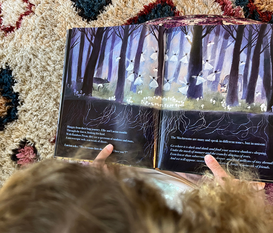 Wings in the Land of Feet // Hardcover Book