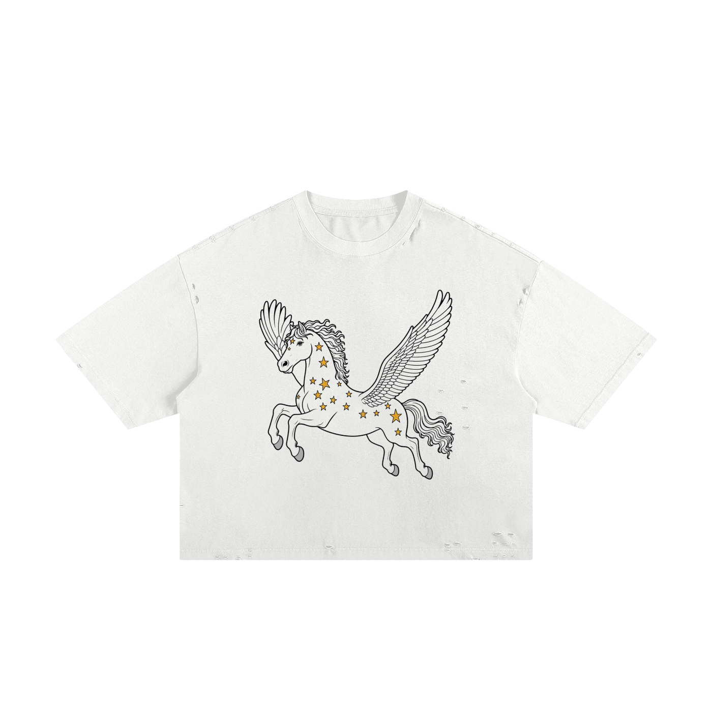 Classic Frayed Boxy Tee