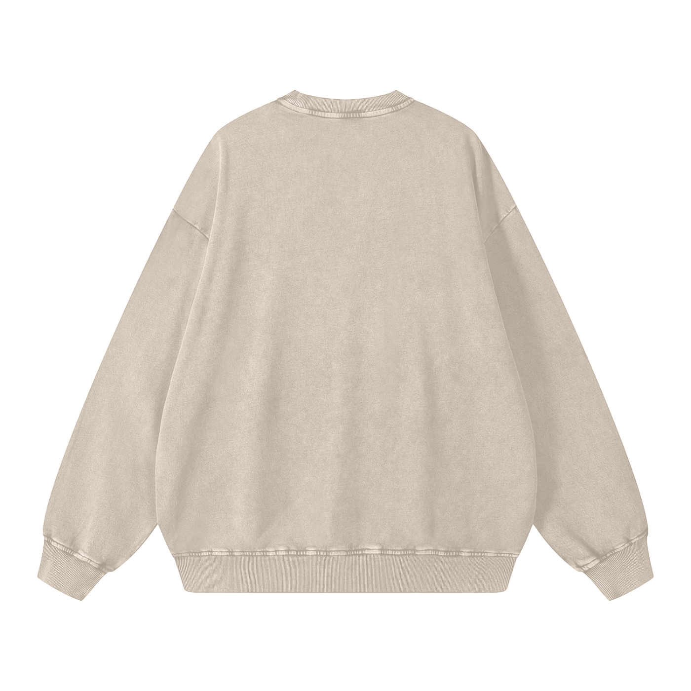 Timeline Jumping // Snow Washed Oversized Sweatshirt